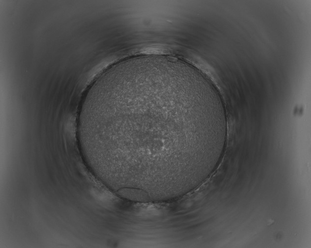 X0000093600297200710221553