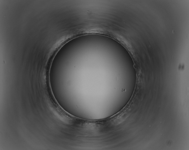 X0000093600298200710221553