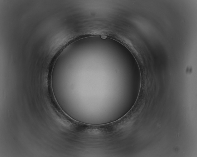 X0000093600299200710221553