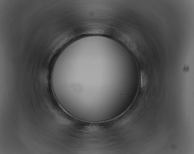 X0000093600300200710221553