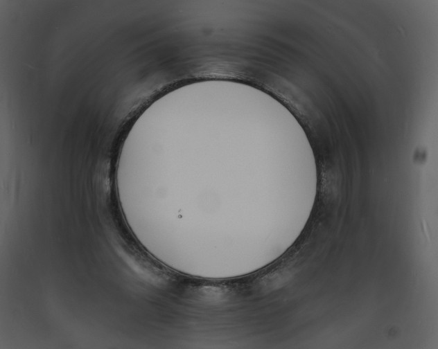 X0000093600302200710221553