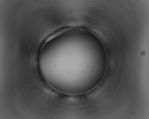 X0000093600303200710221553