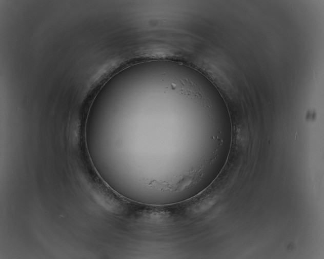 X0000093600304200710221553