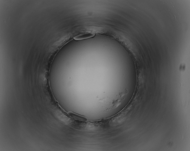 X0000093600305200710221553