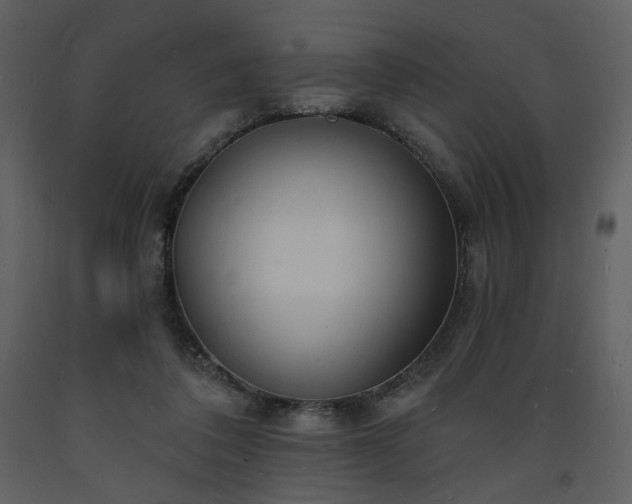 X0000093600308200710221552