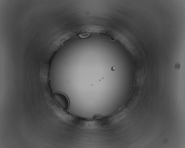 X0000093600309200710221552