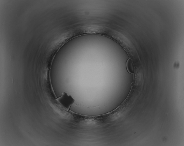 X0000093600310200710221552