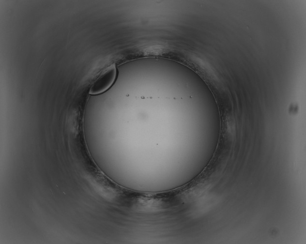 X0000093600311200710221552