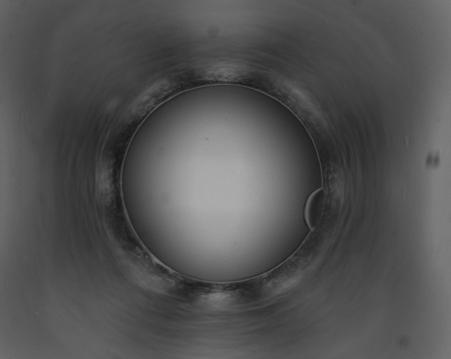 X0000093600312200710221552