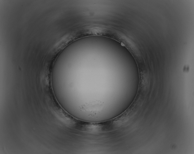 X0000093600313200710221552