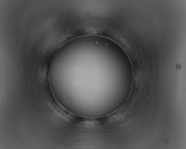 X0000093600314200710221552