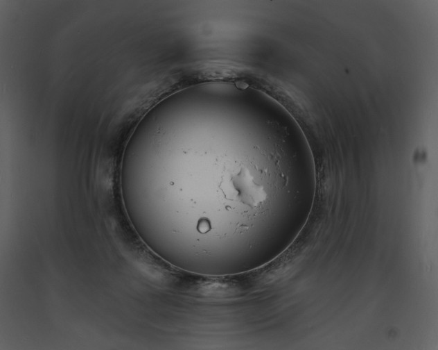 X0000093600315200710221552