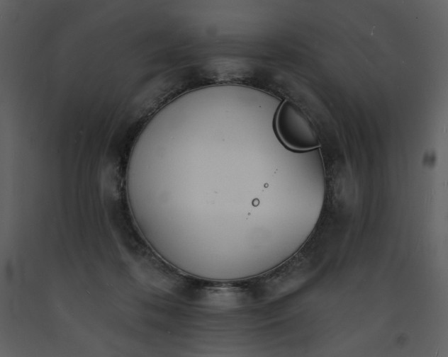 X0000093600316200710221552