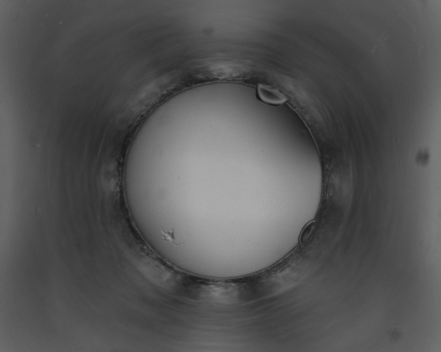 X0000093600317200710221552