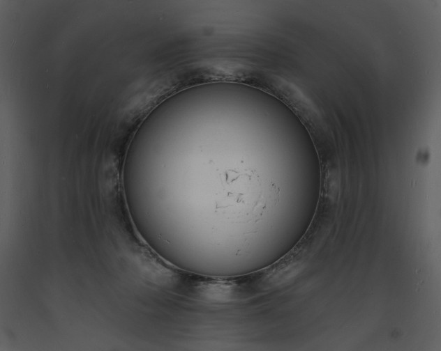 X0000093600318200710221552