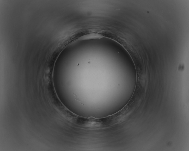 X0000093600319200710221552