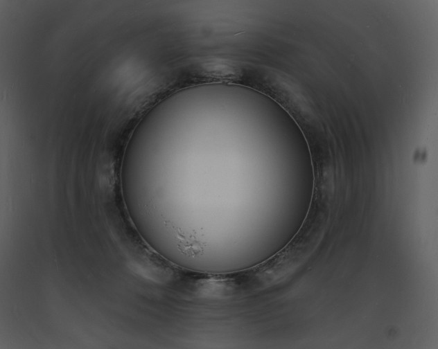 X0000093600320200710221552