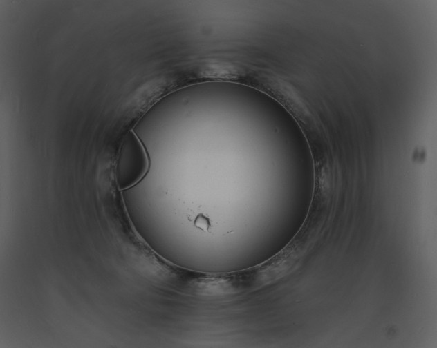 X0000093600322200710221552