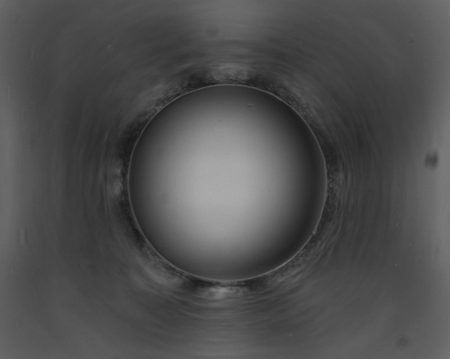 X0000093600323200710221552