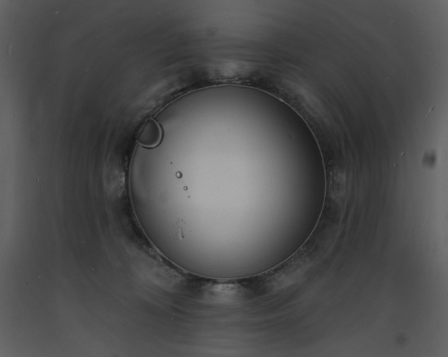 X0000093600324200710221552