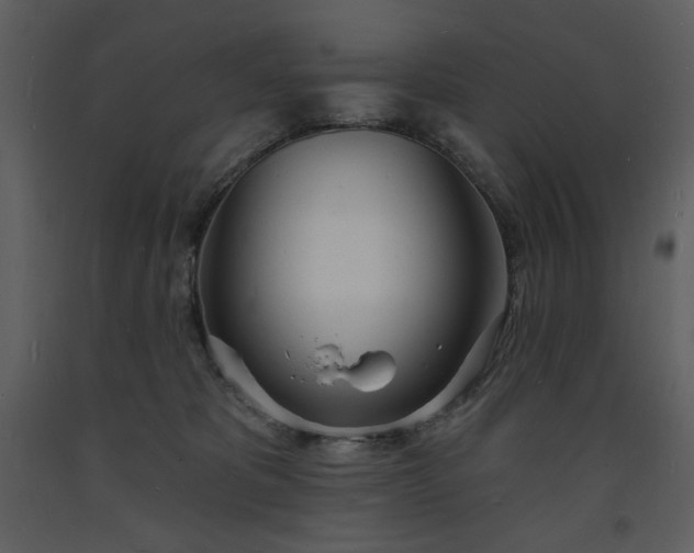 X0000093600325200710221552