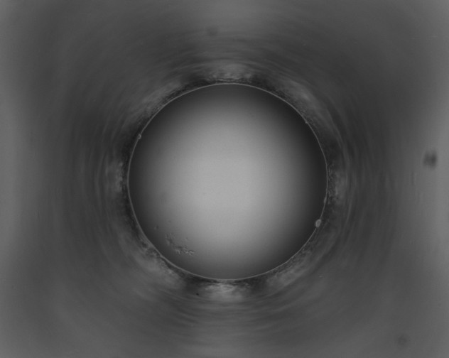 X0000093600326200710221552