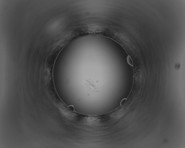 X0000093600327200710221552