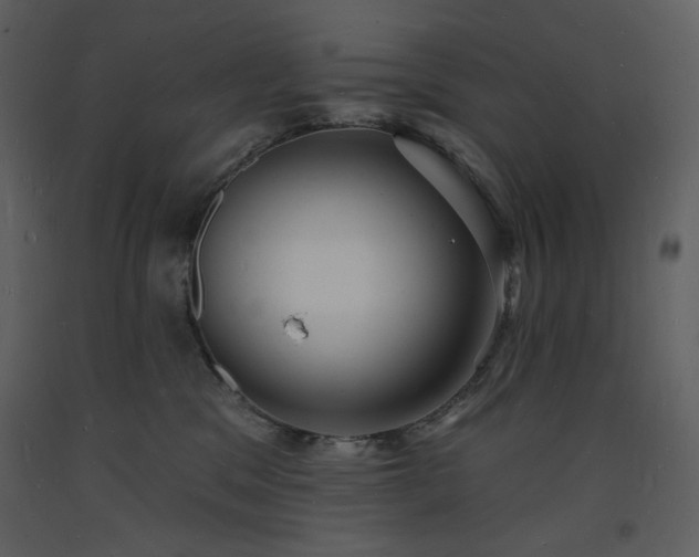 X0000093600329200710221552