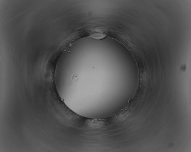 X0000093600331200710221552