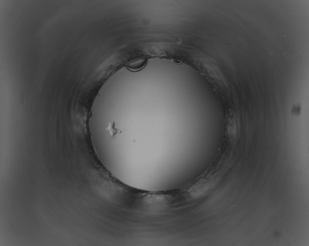 X0000093600332200710221552