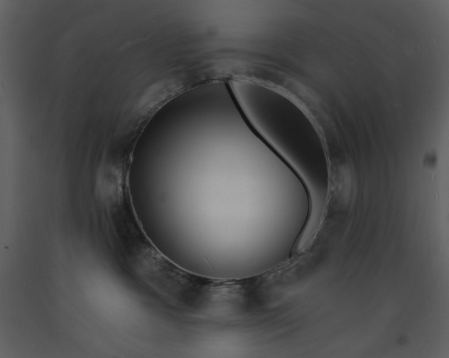 X0000093600333200710221552