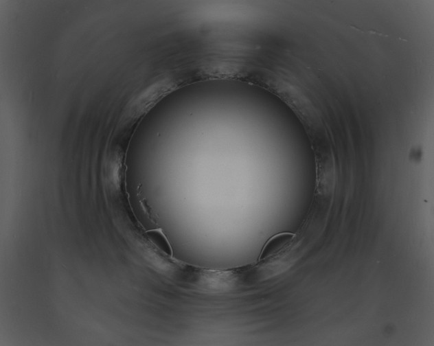 X0000093600334200710221552