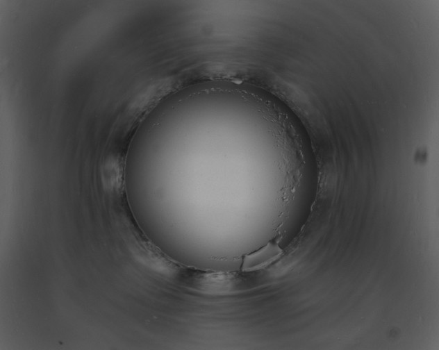 X0000093600335200710221552