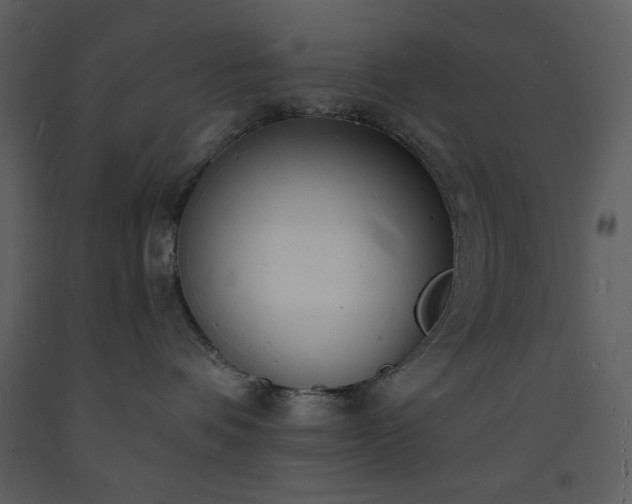 X0000093600336200710221552