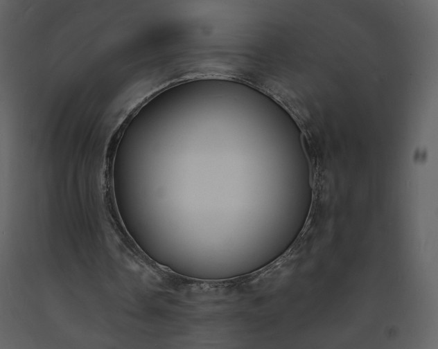 X0000093600338200710221552