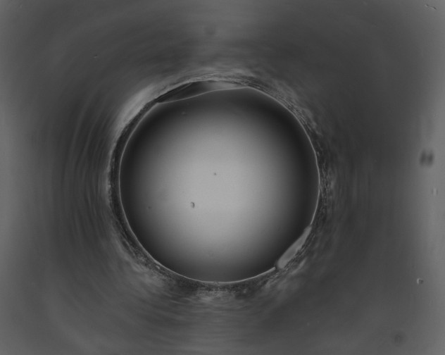 X0000093600340200710221552