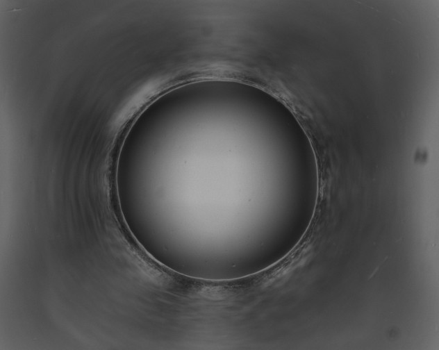 X0000093600341200710221552