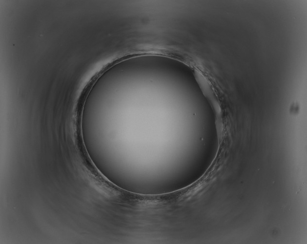 X0000093600342200710221552