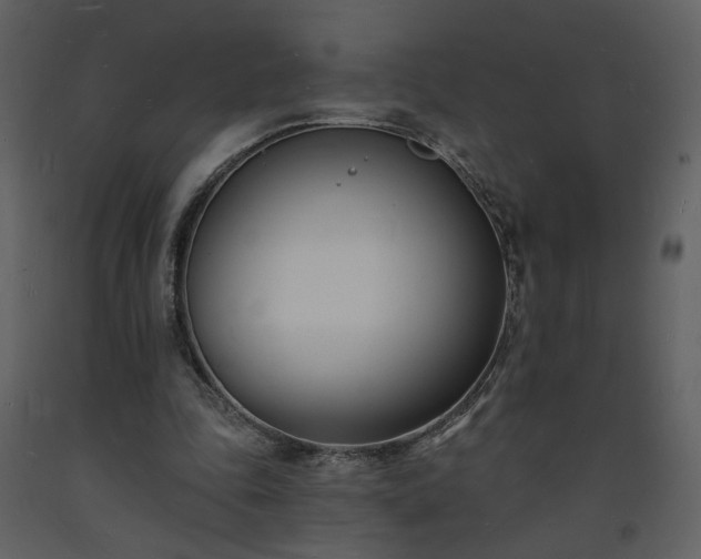 X0000093600343200710221552