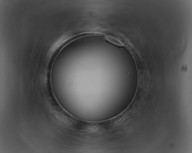 X0000093600344200710221552