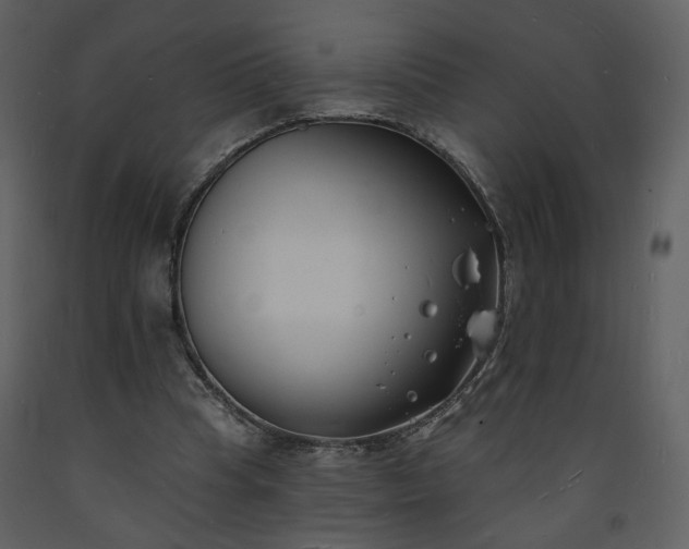 X0000093600345200710221552