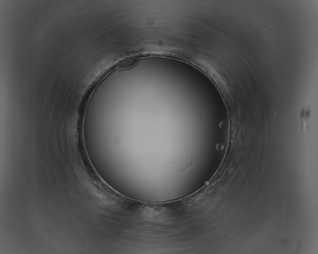 X0000093600346200710221552