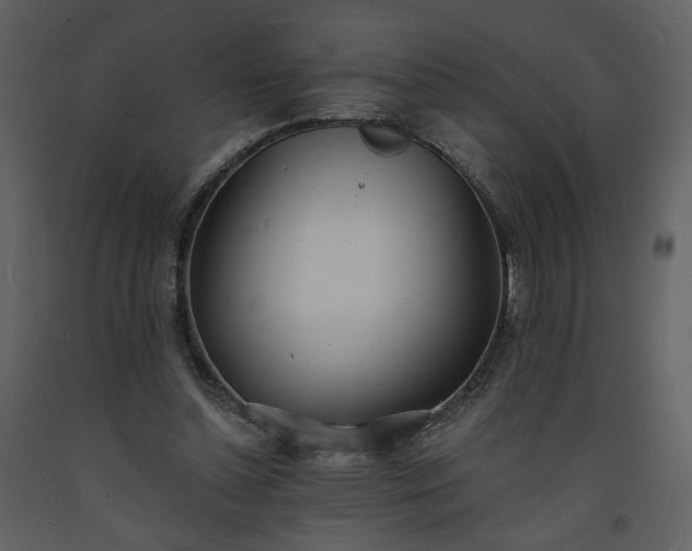 X0000093600348200710221552