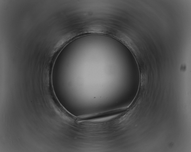 X0000093600349200710221552