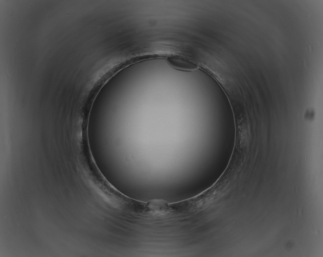 X0000093600350200710221552