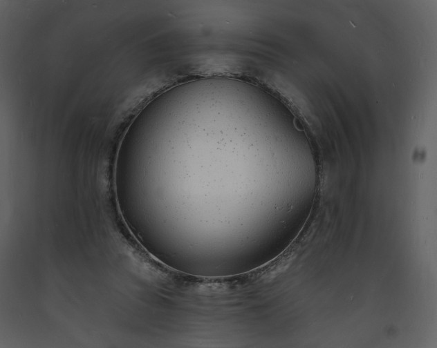 X0000093600353200710221552