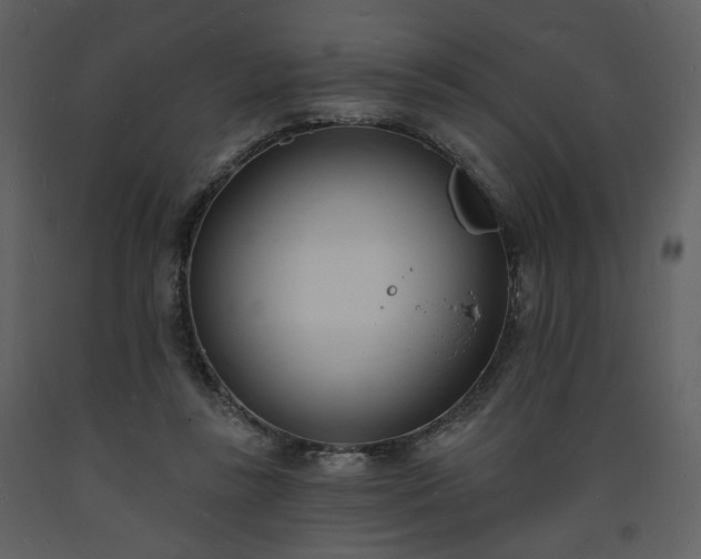 X0000093600355200710221552