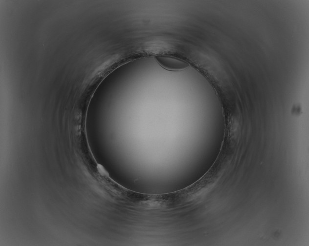 X0000093600356200710221552