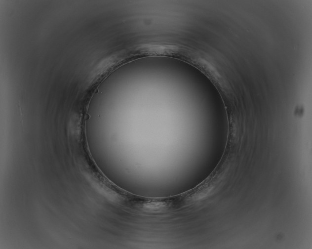 X0000093600357200710221552