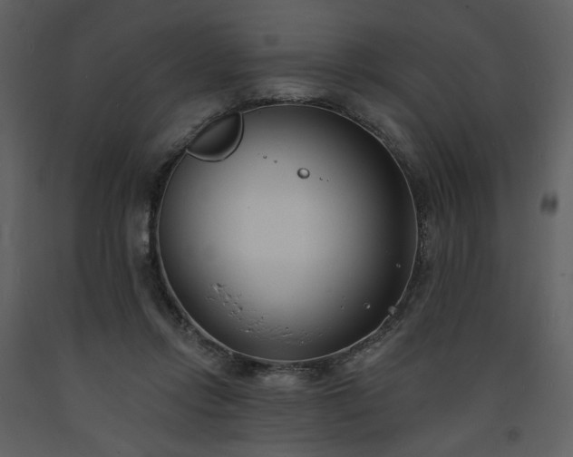 X0000093600358200710221552